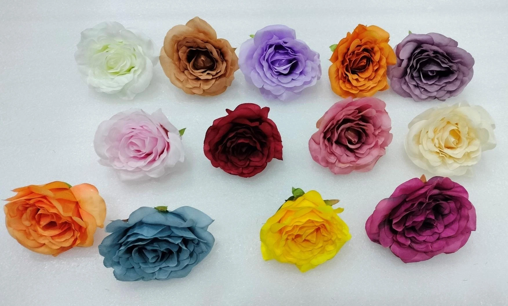 Garden Rose Head